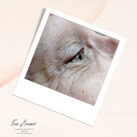 /album/permanentni-makeup/tetovani-linky-veseli-nad-moravou-jpg/